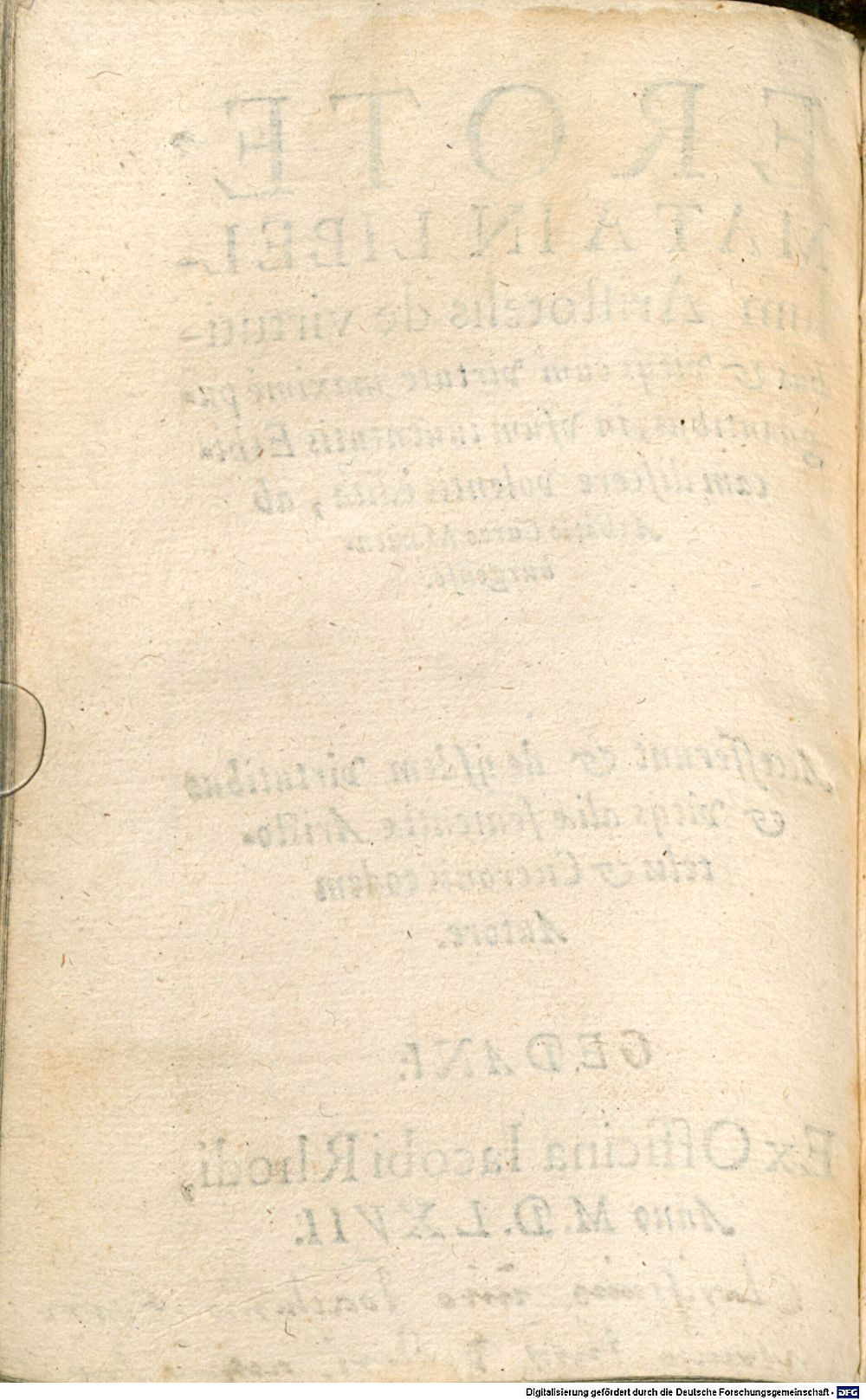 Image
