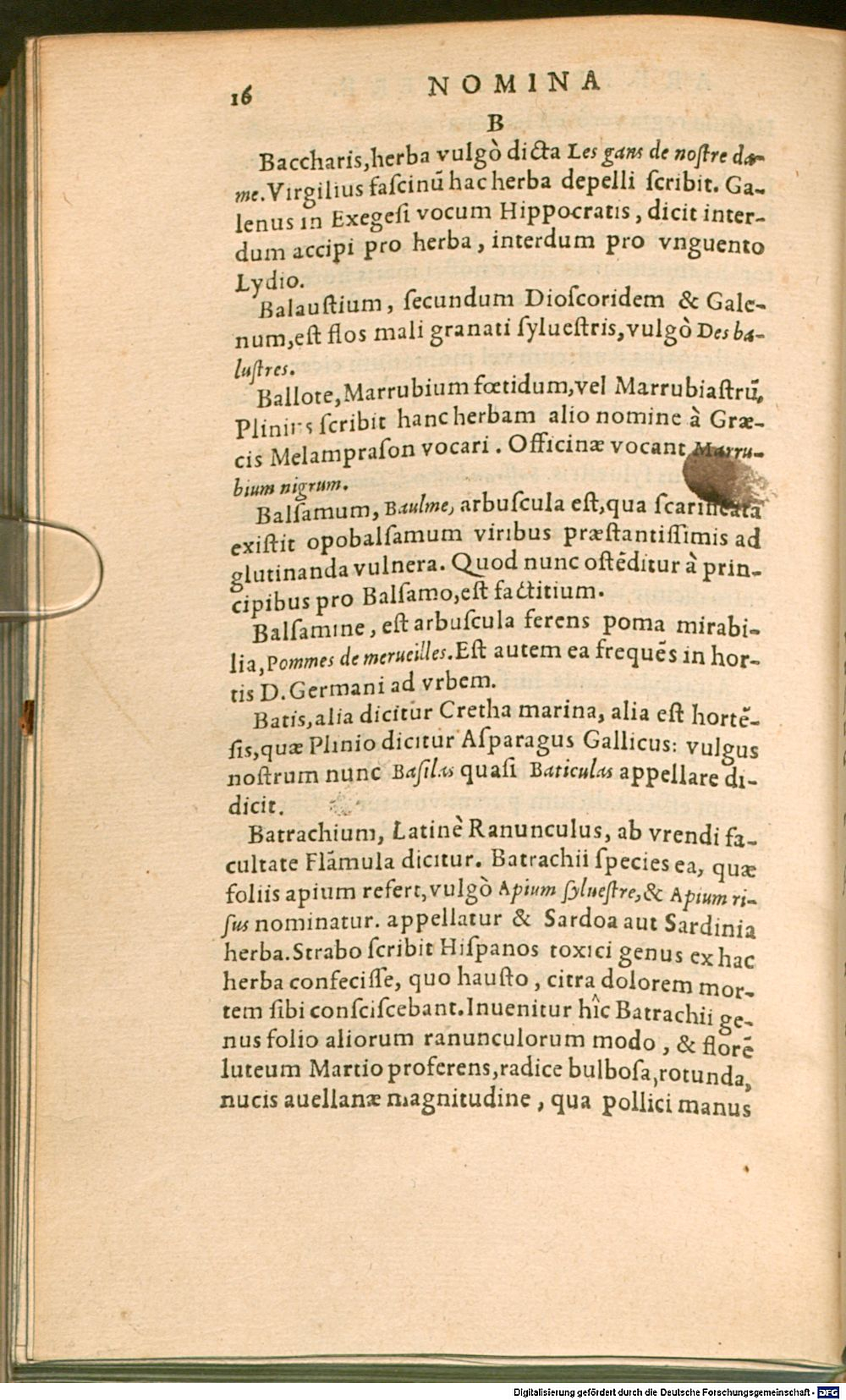 Image