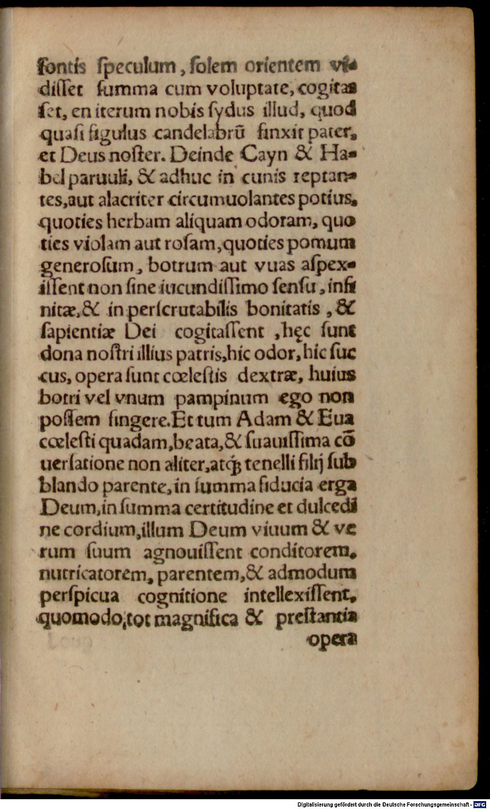 Image