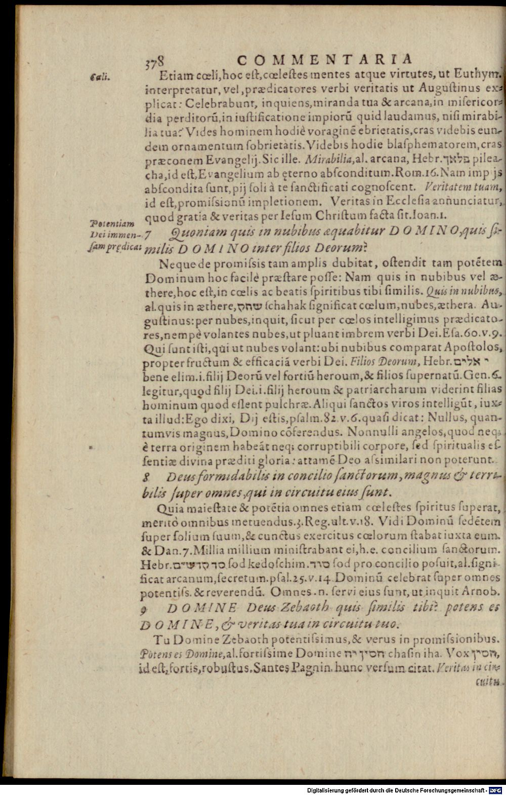 Image