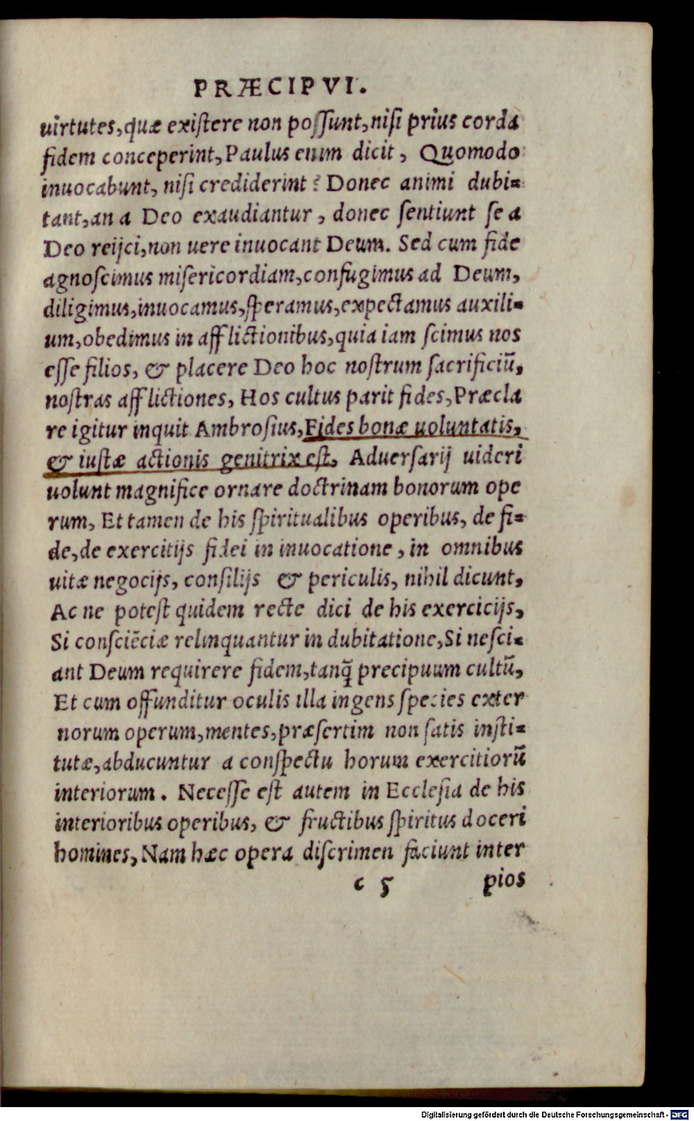 Image