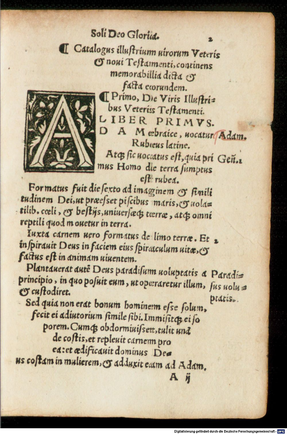 Image