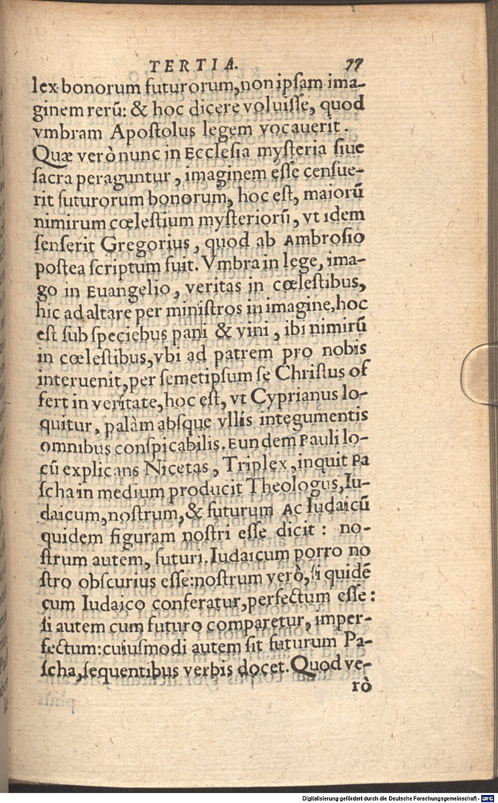 Image
