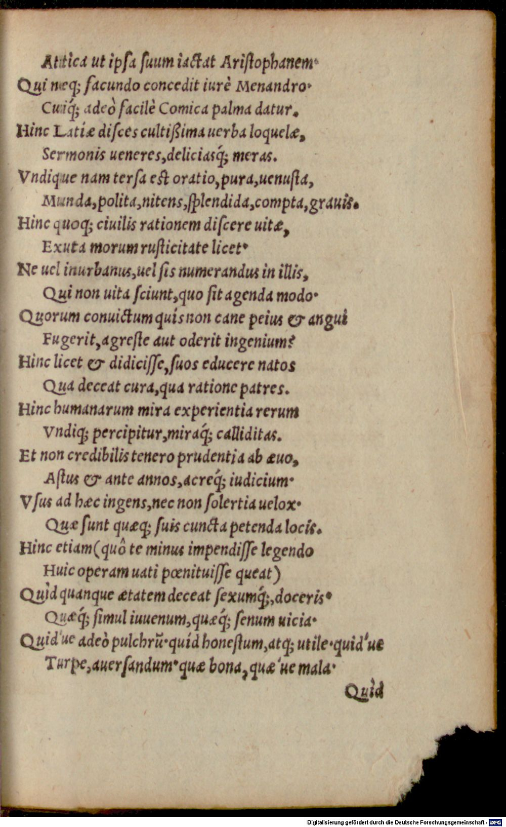 Image
