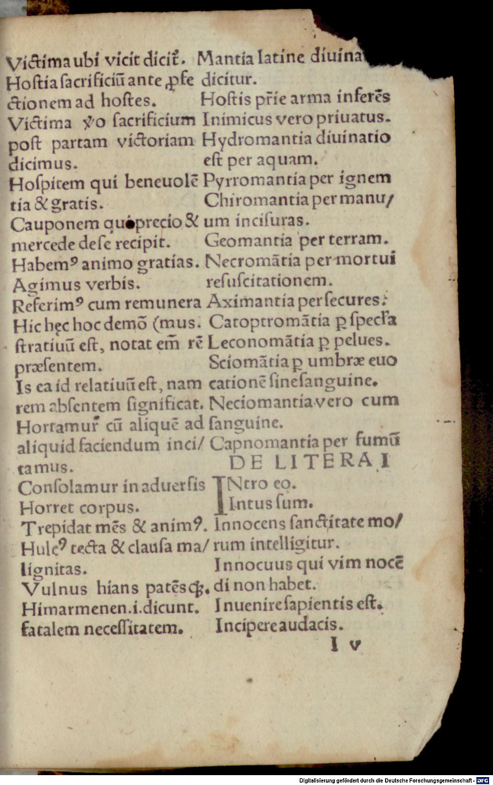 Image