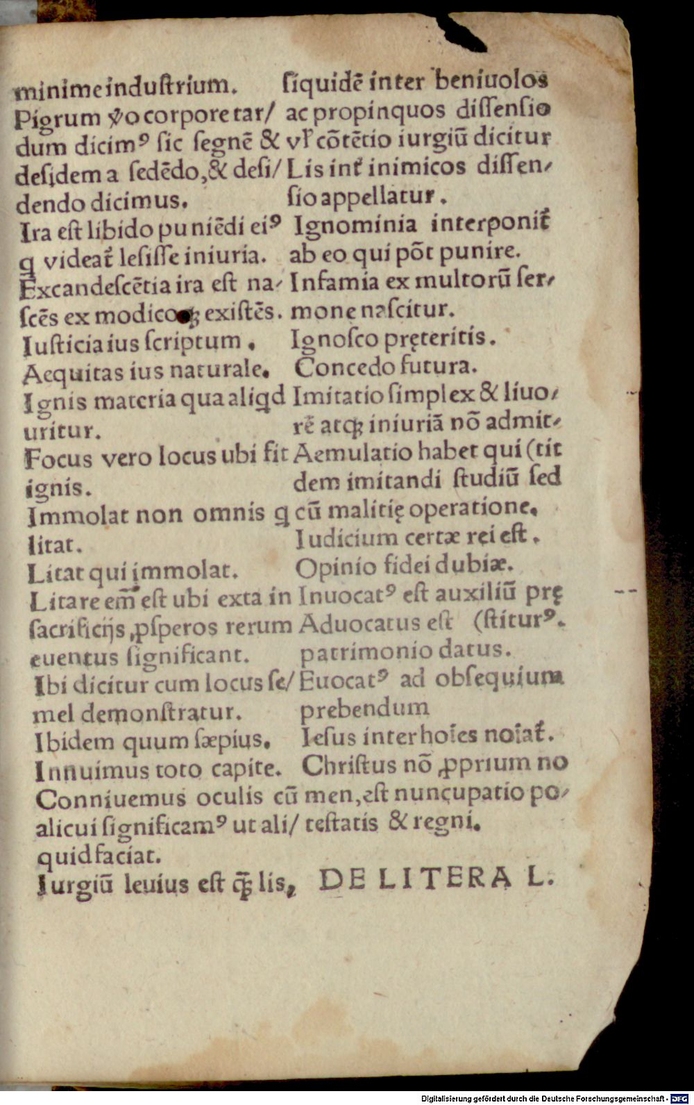 Image