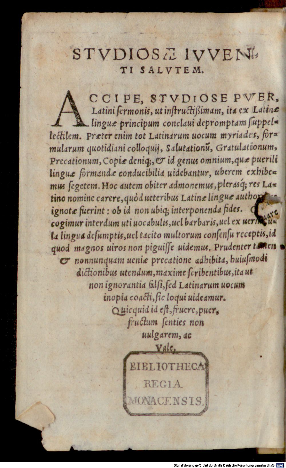 Image
