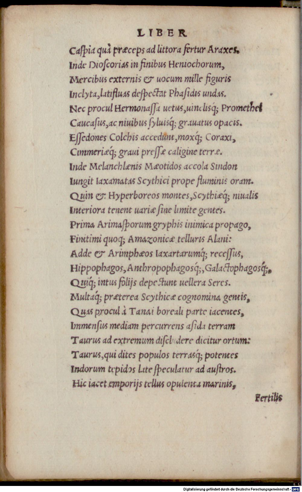 Image