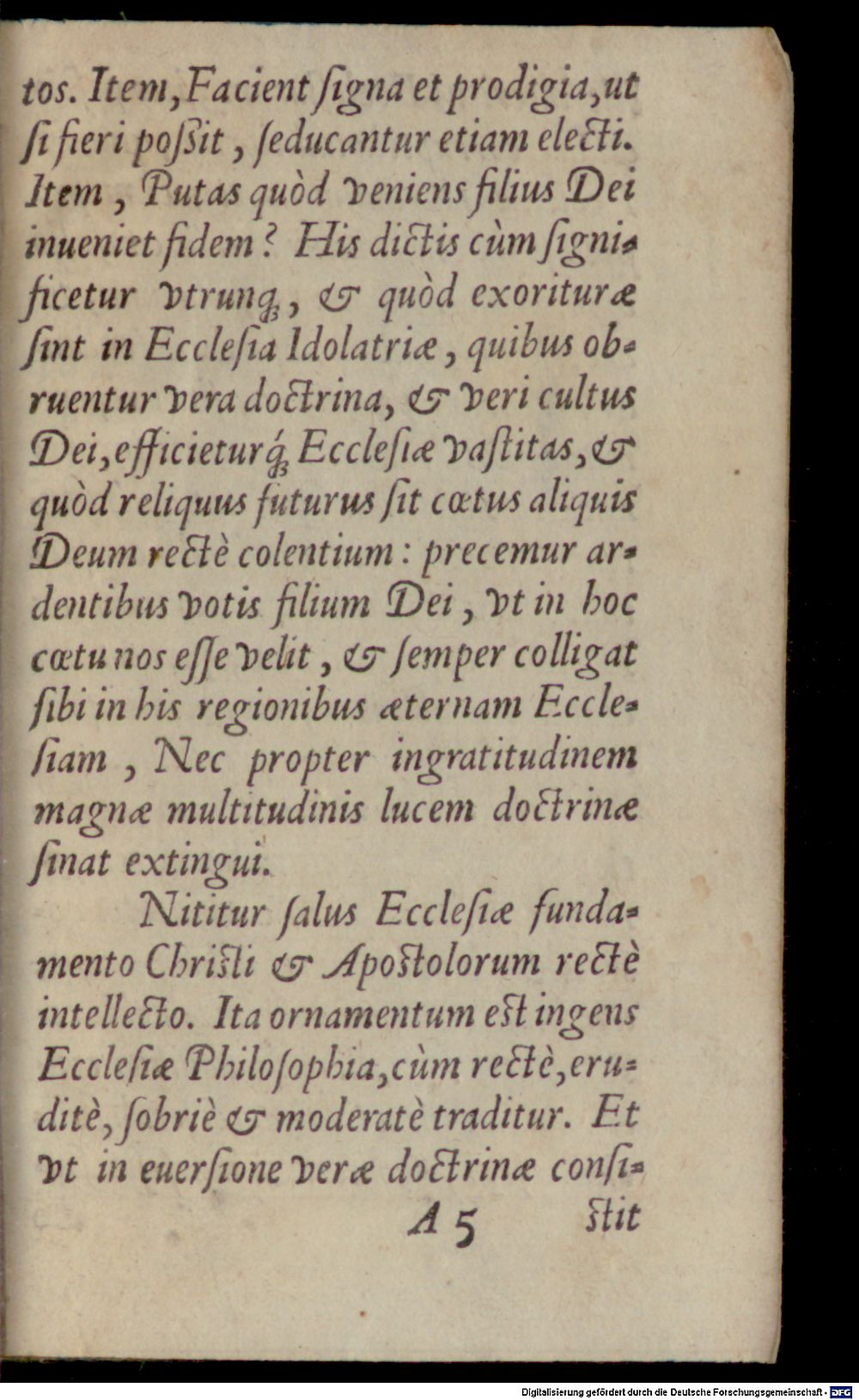 Image
