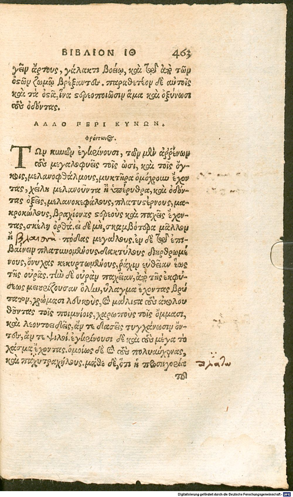 Image