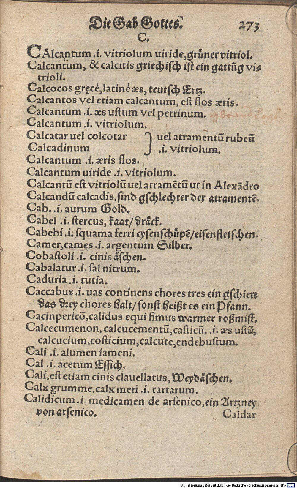 Image