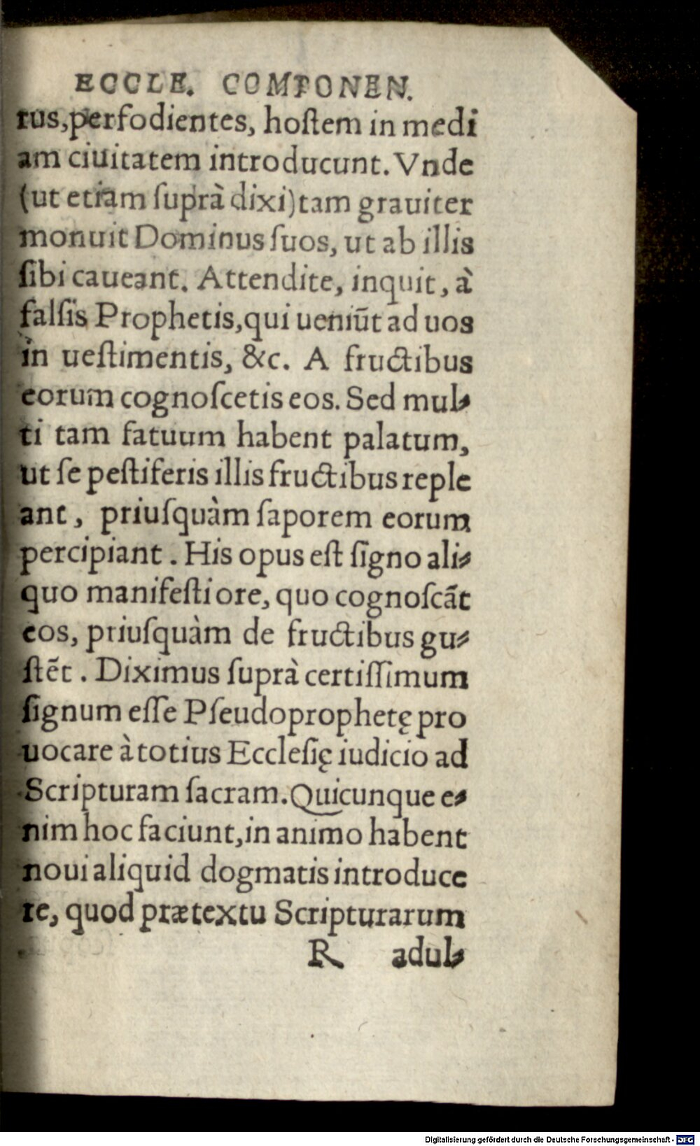 Image