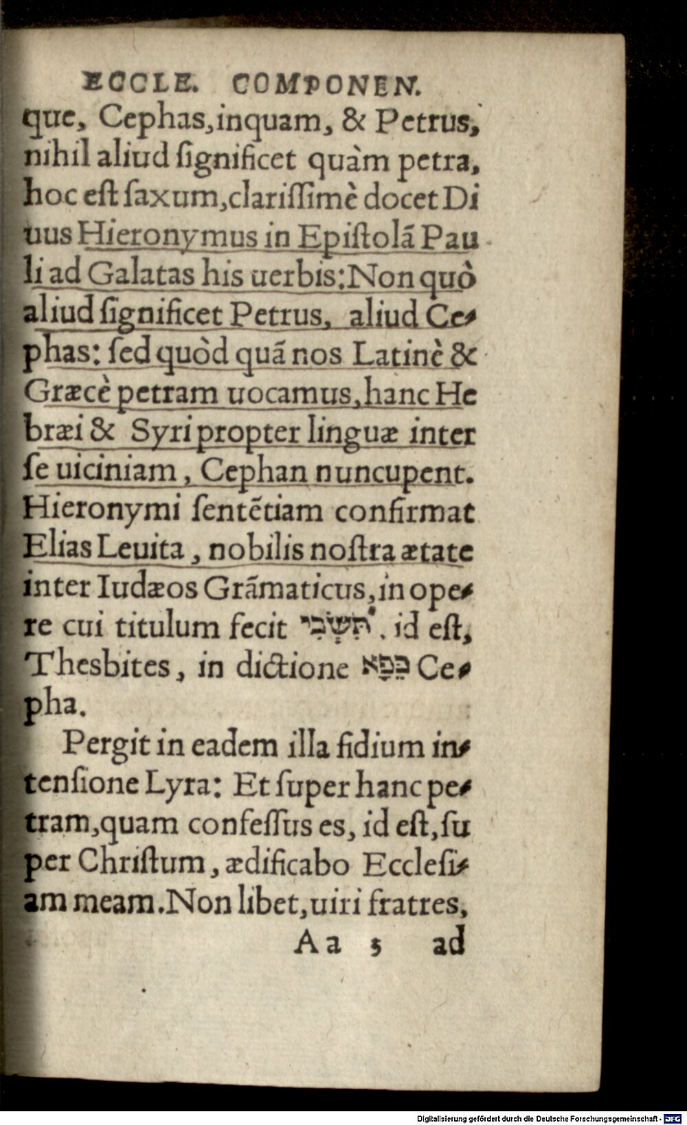 Image