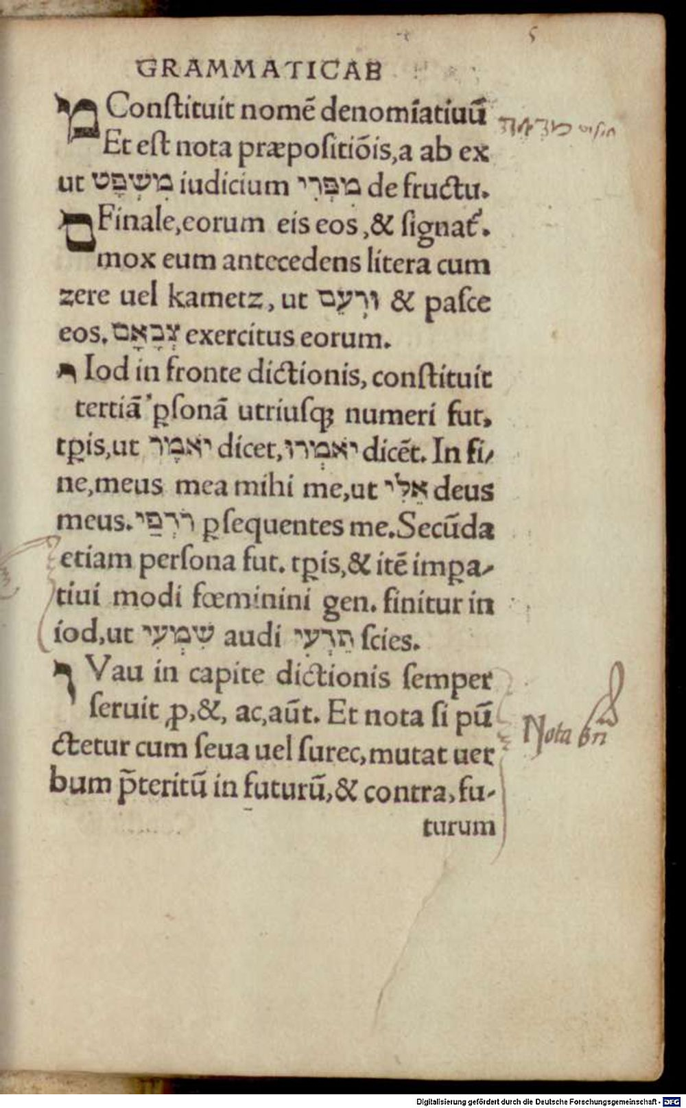 Image