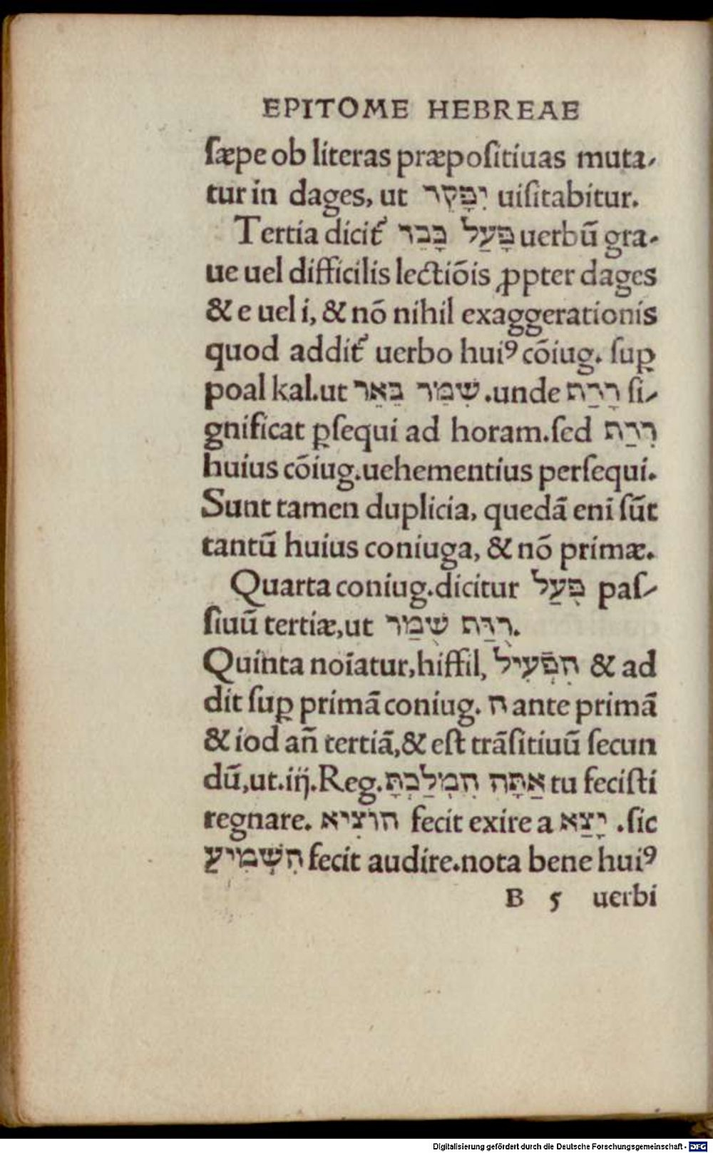 Image