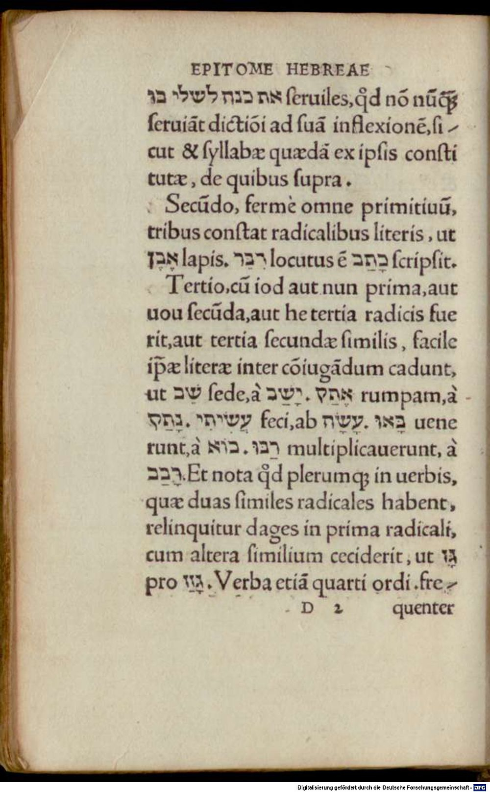 Image
