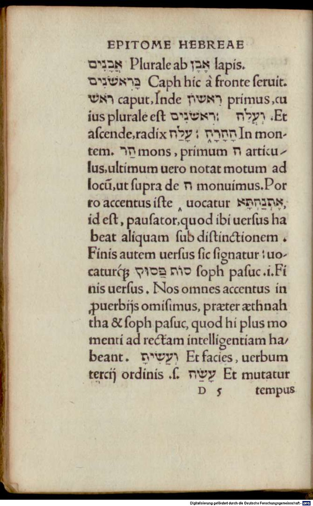Image