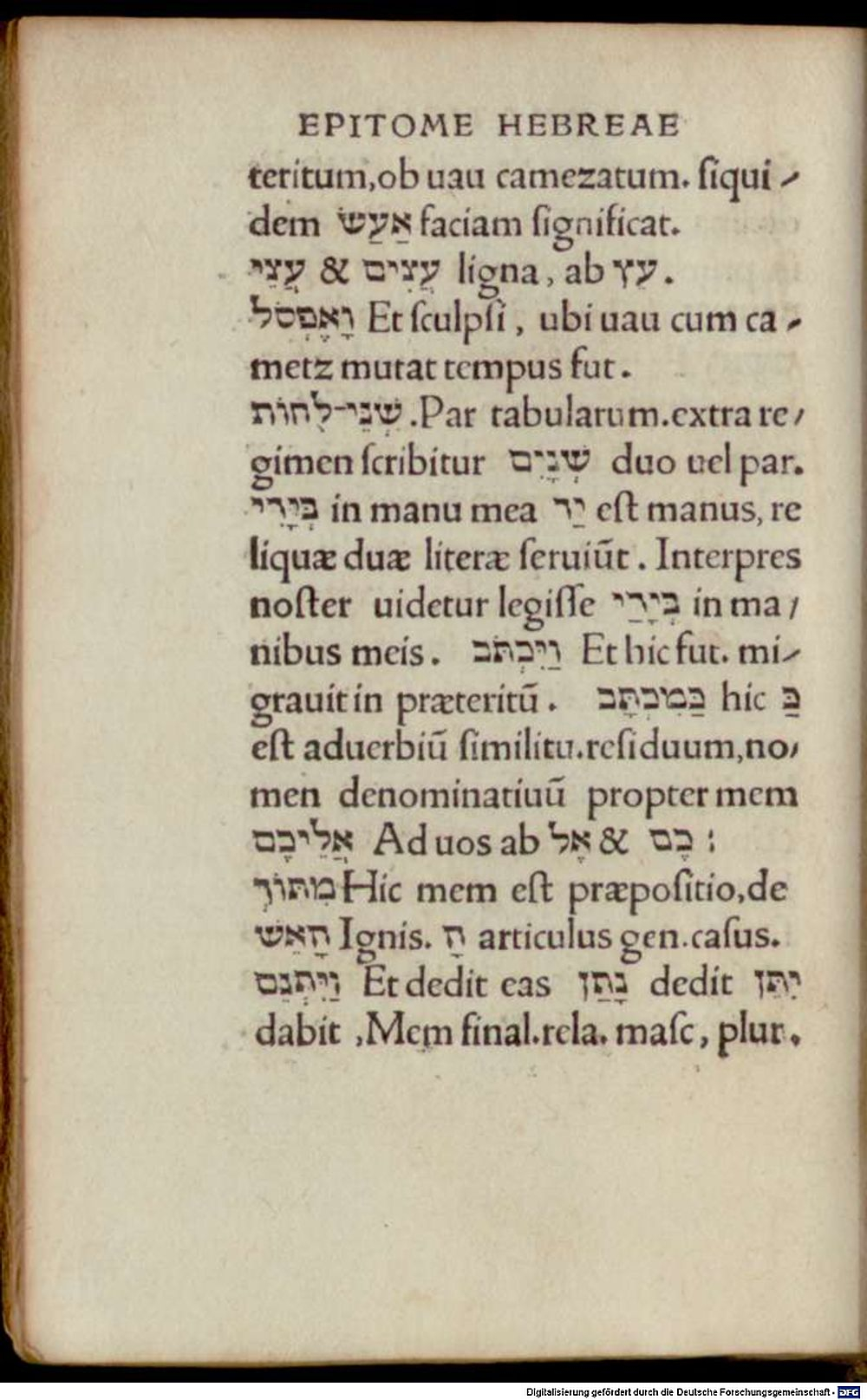 Image