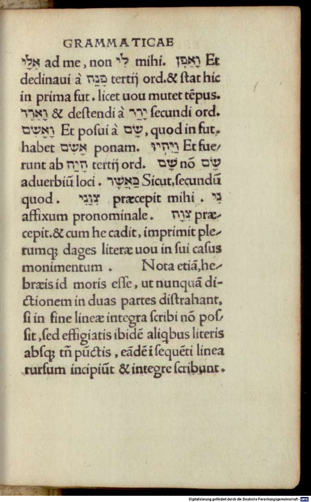 Image