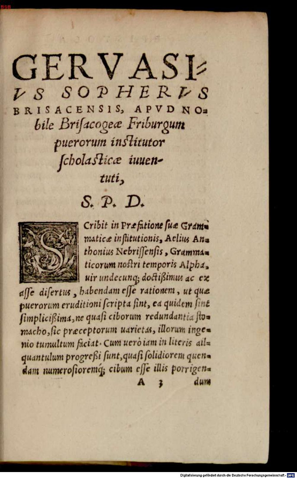 Image