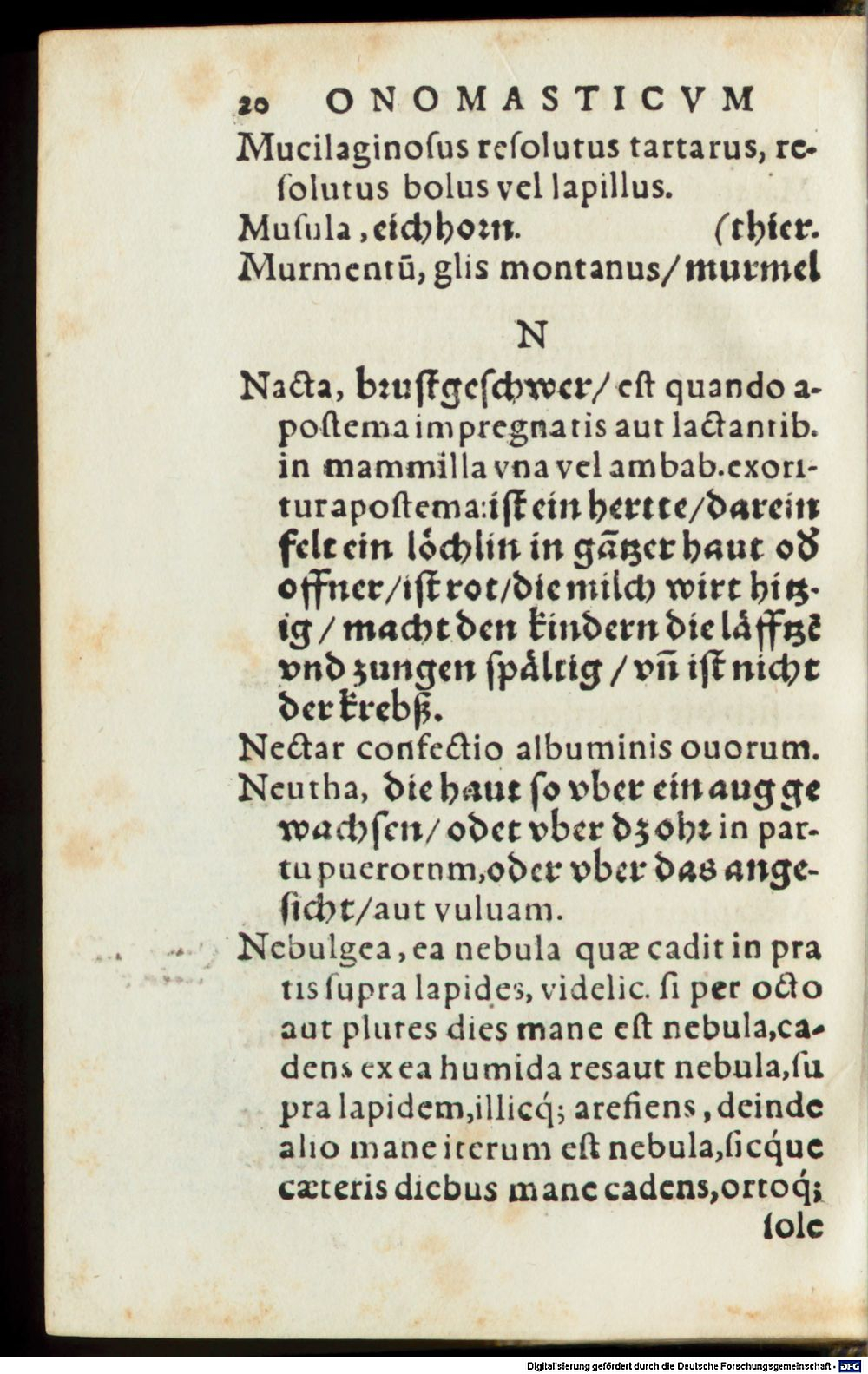Image