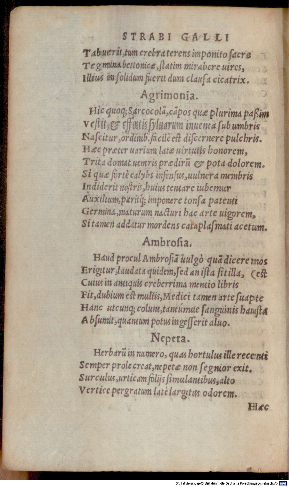 Image