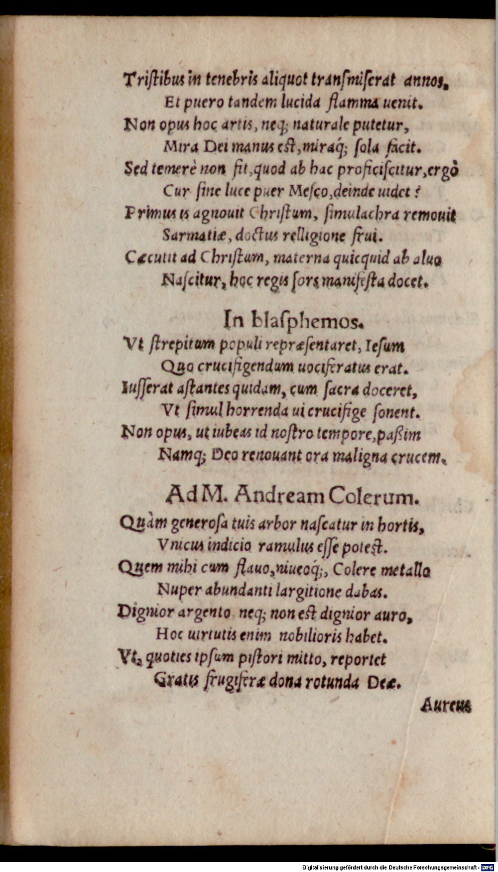 Image