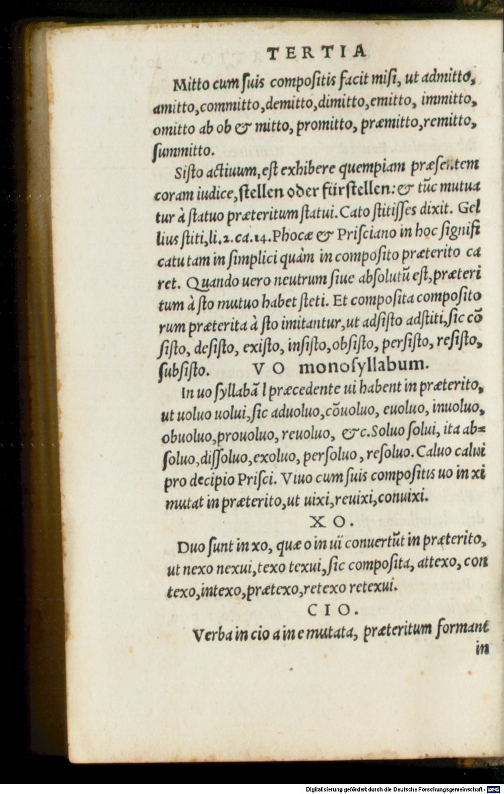 Image