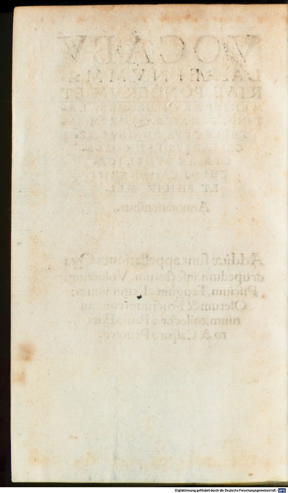 Image