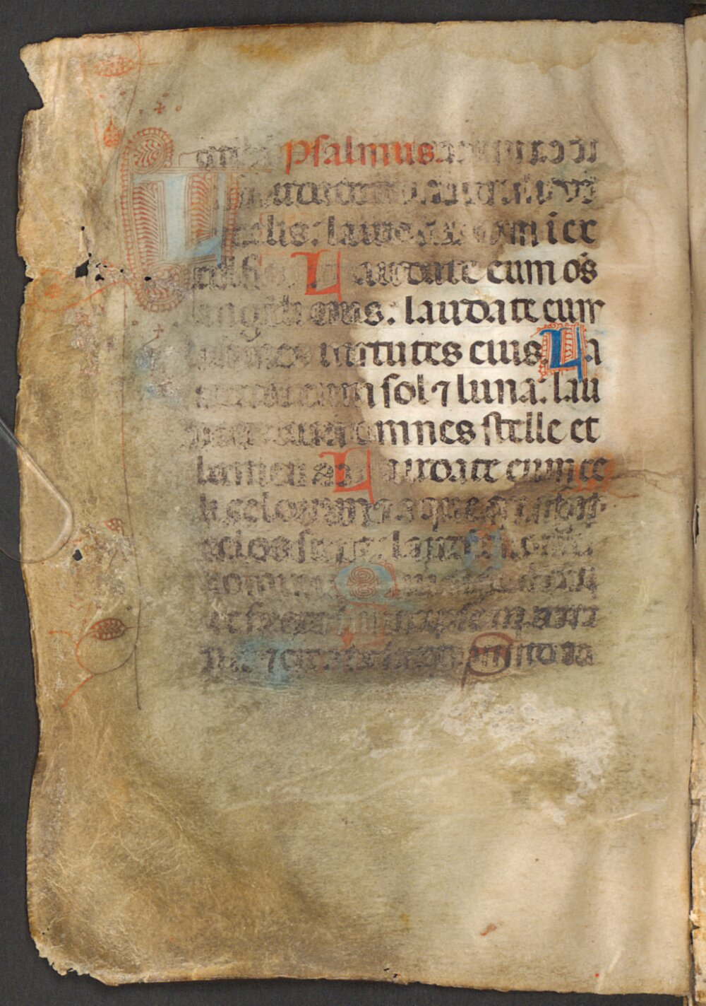 Image