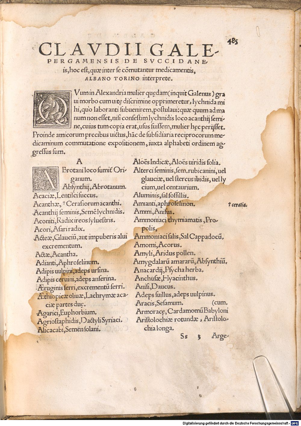 Image