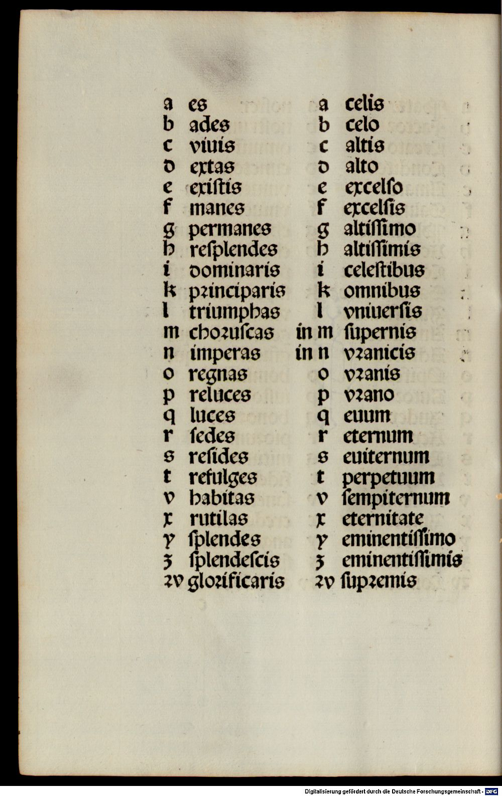 Image