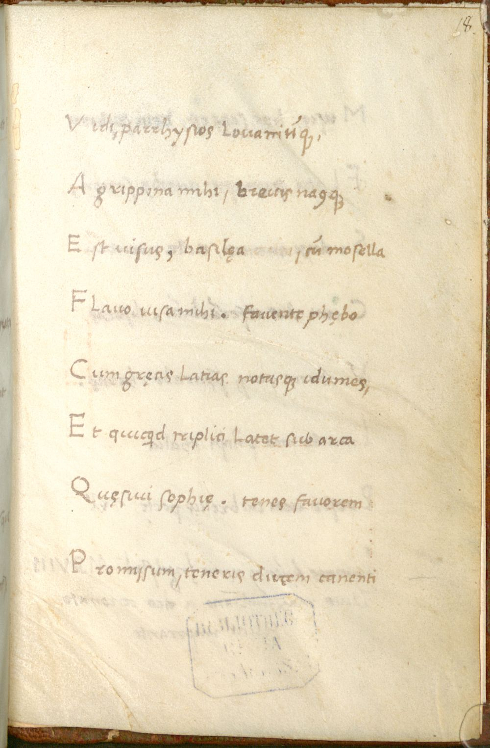 Image