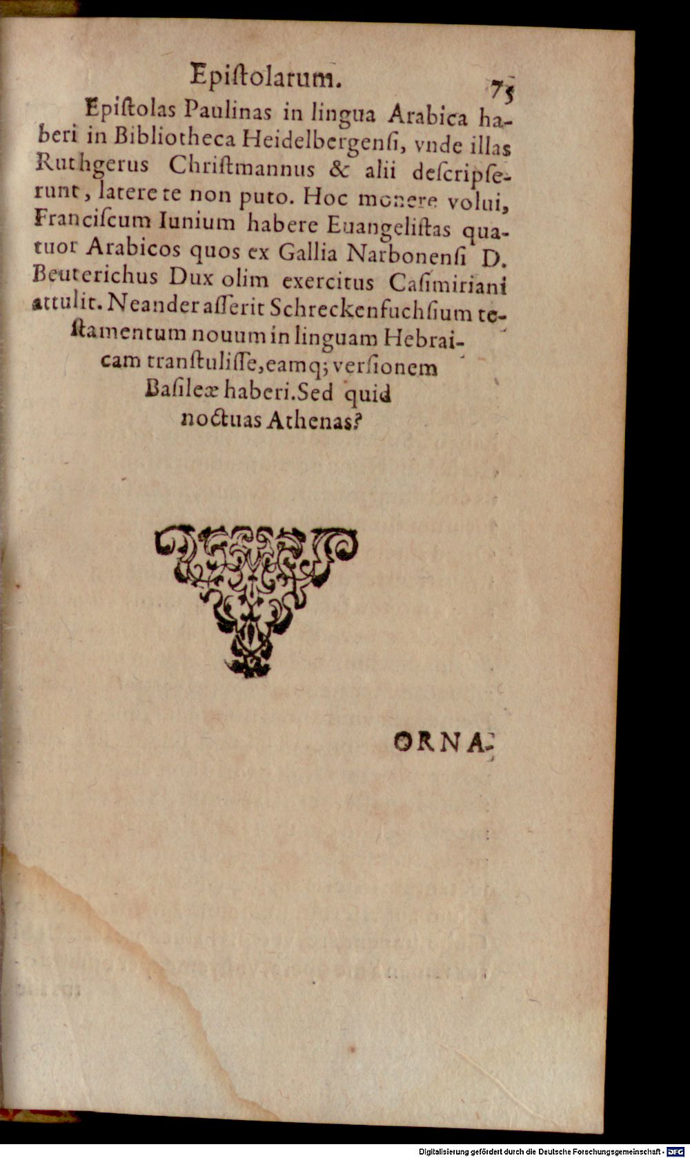 Image