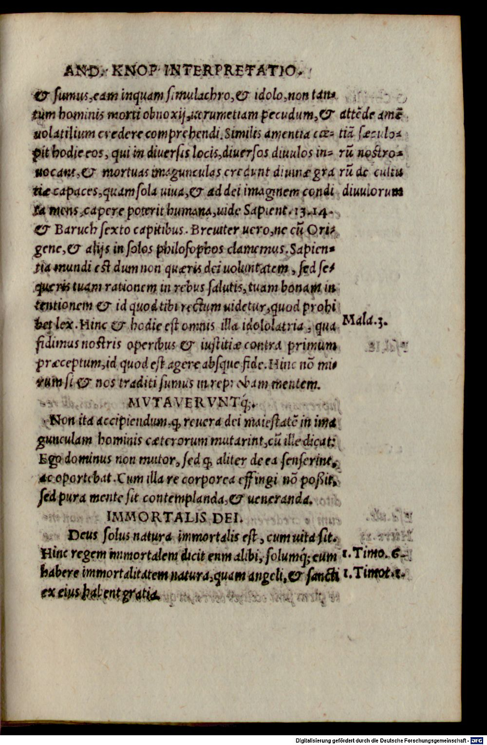 Image