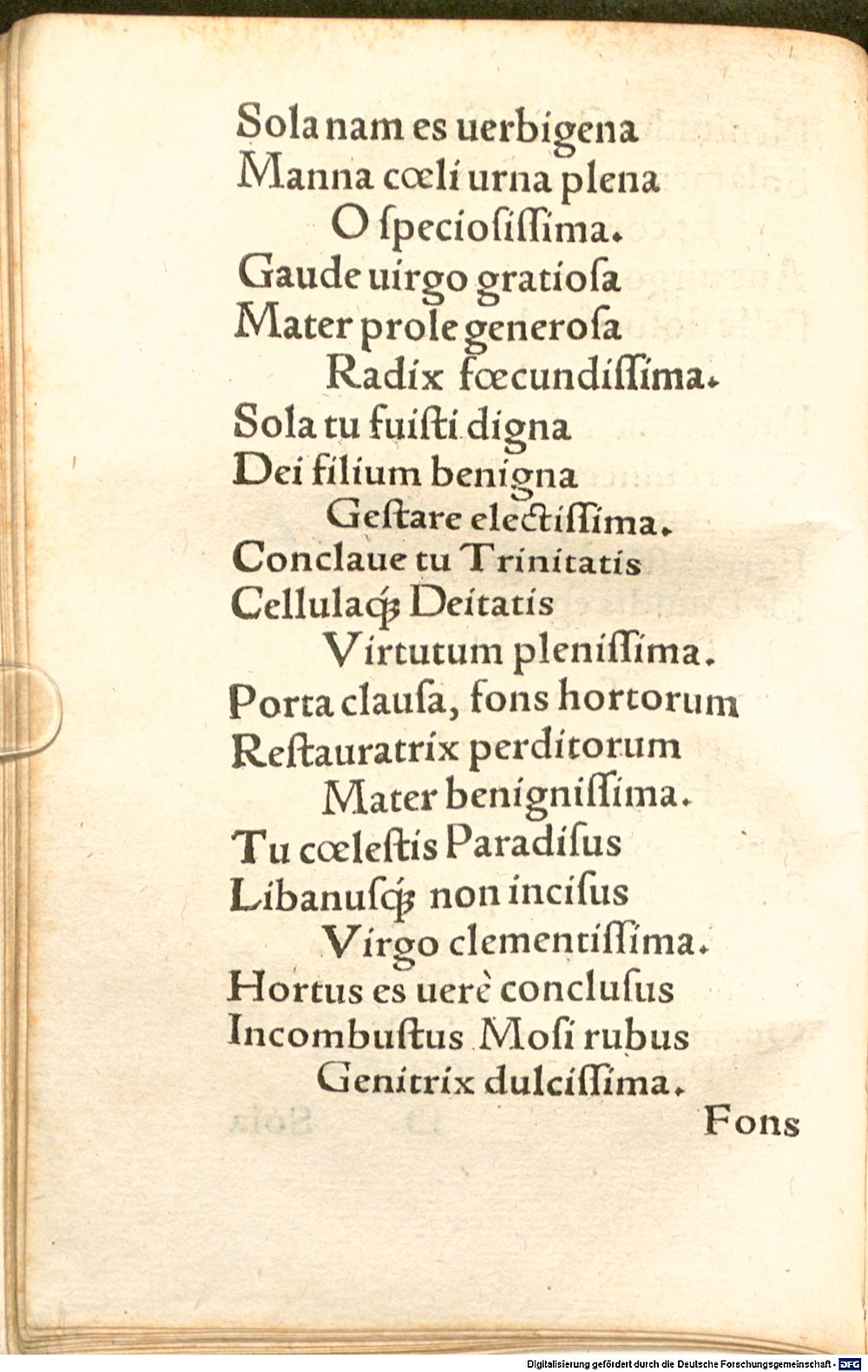 Image
