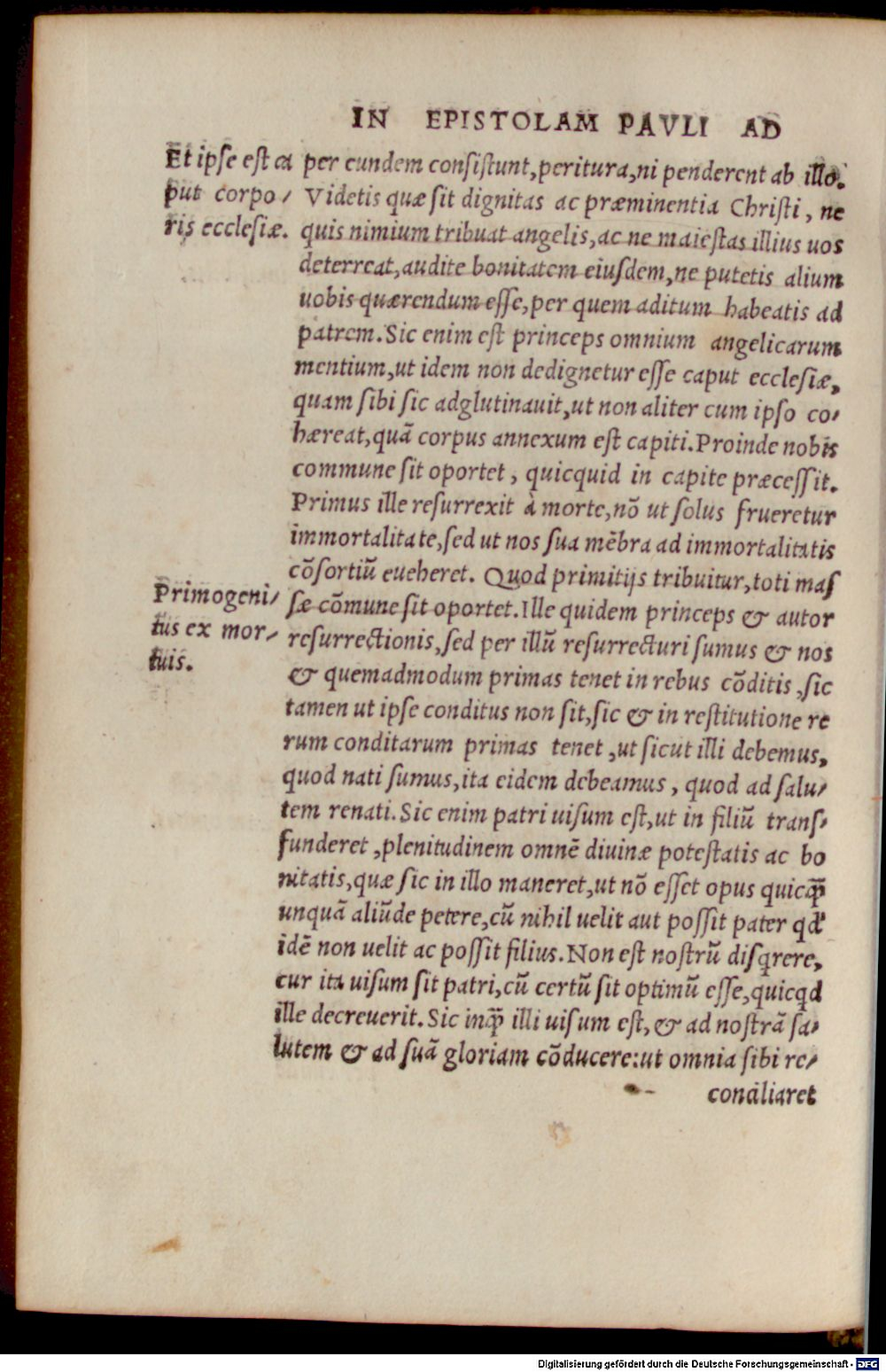 Image