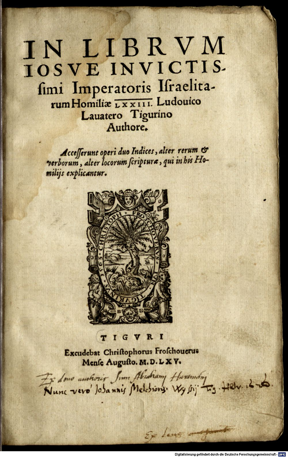 Image