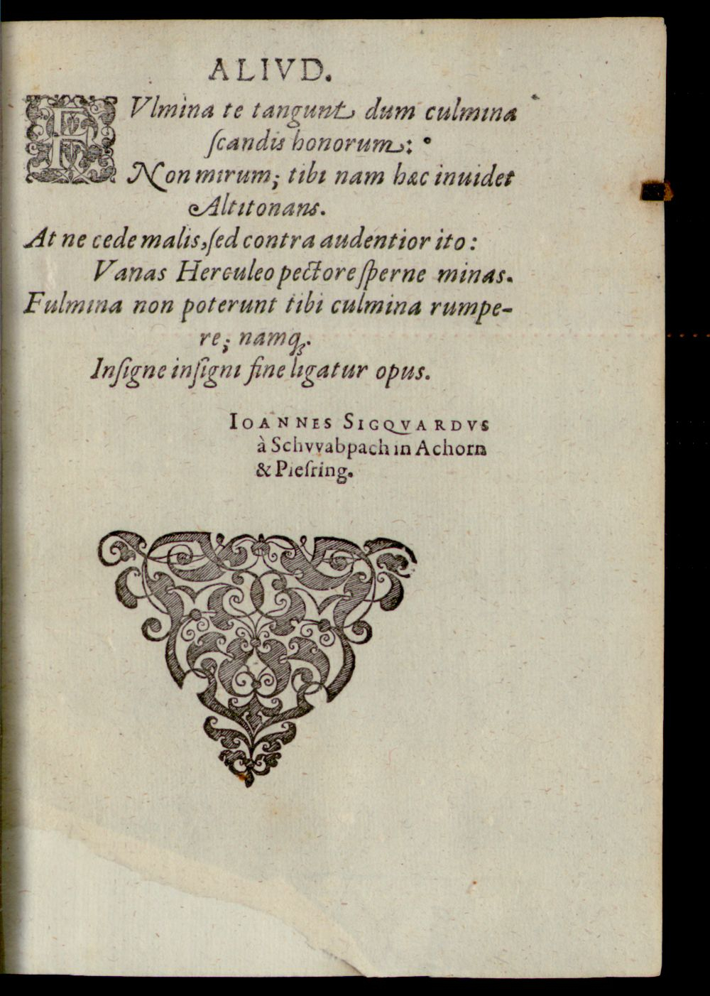 Image