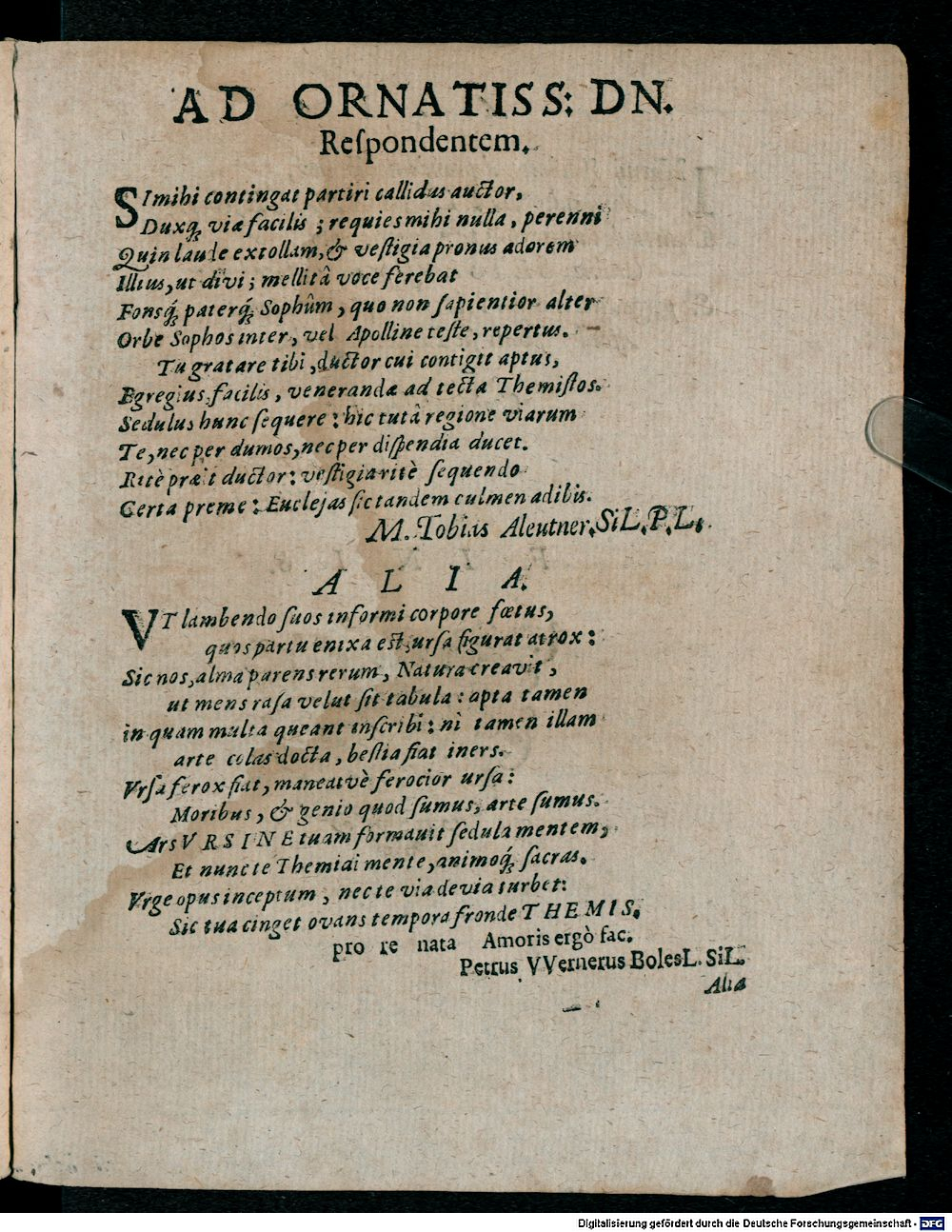 Image