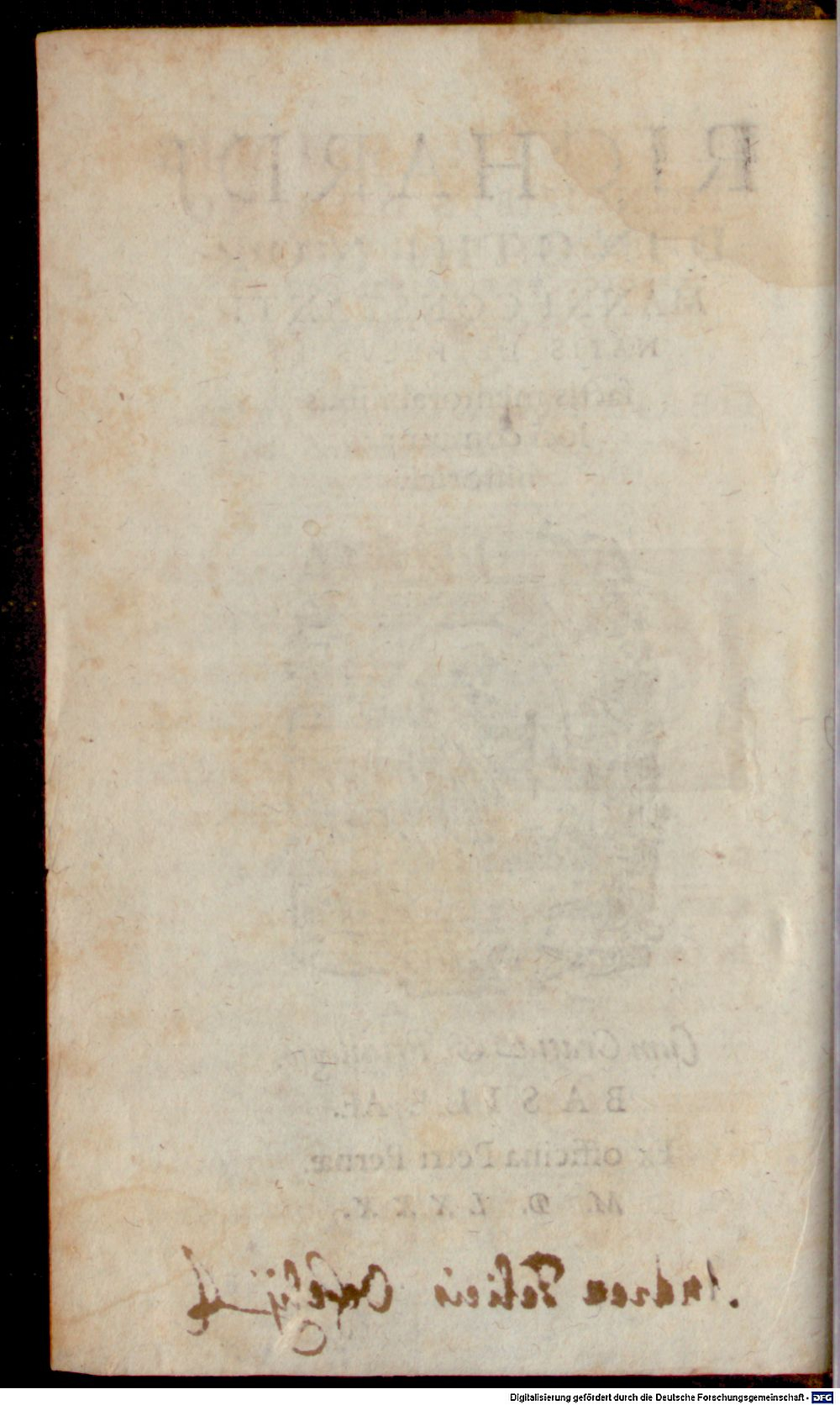 Image