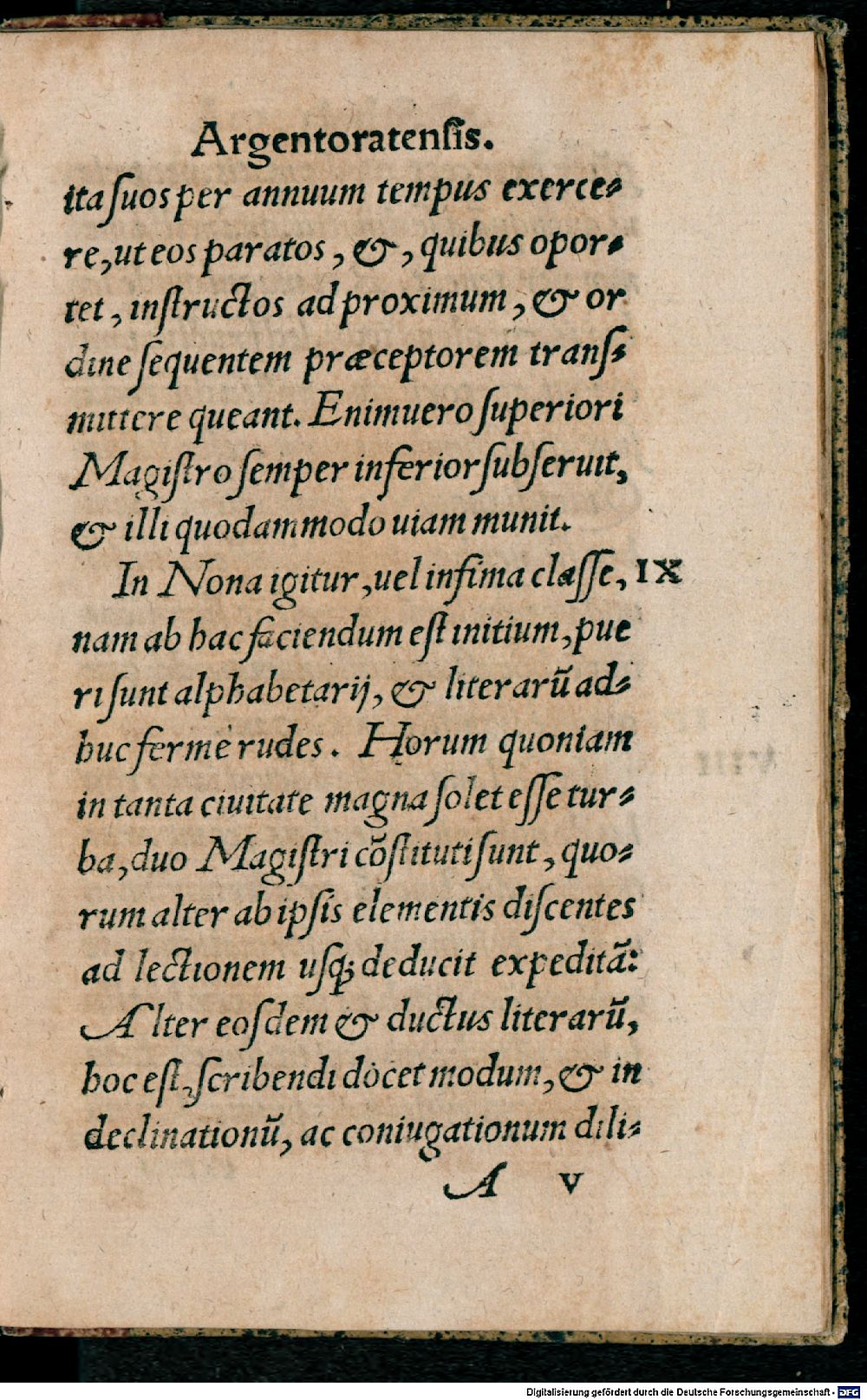 Image