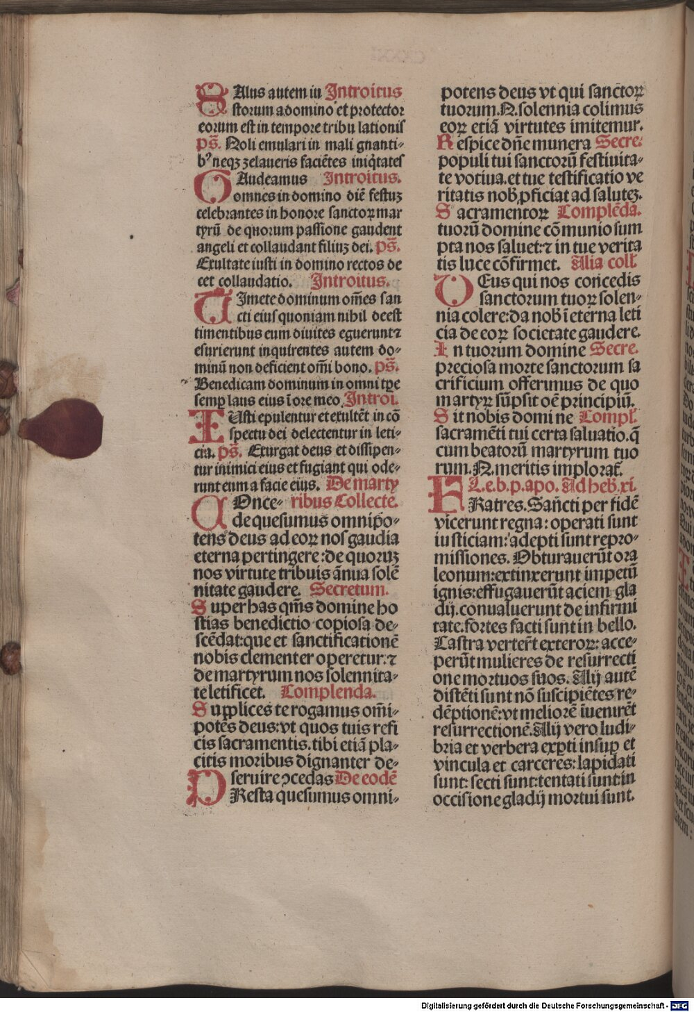 Image