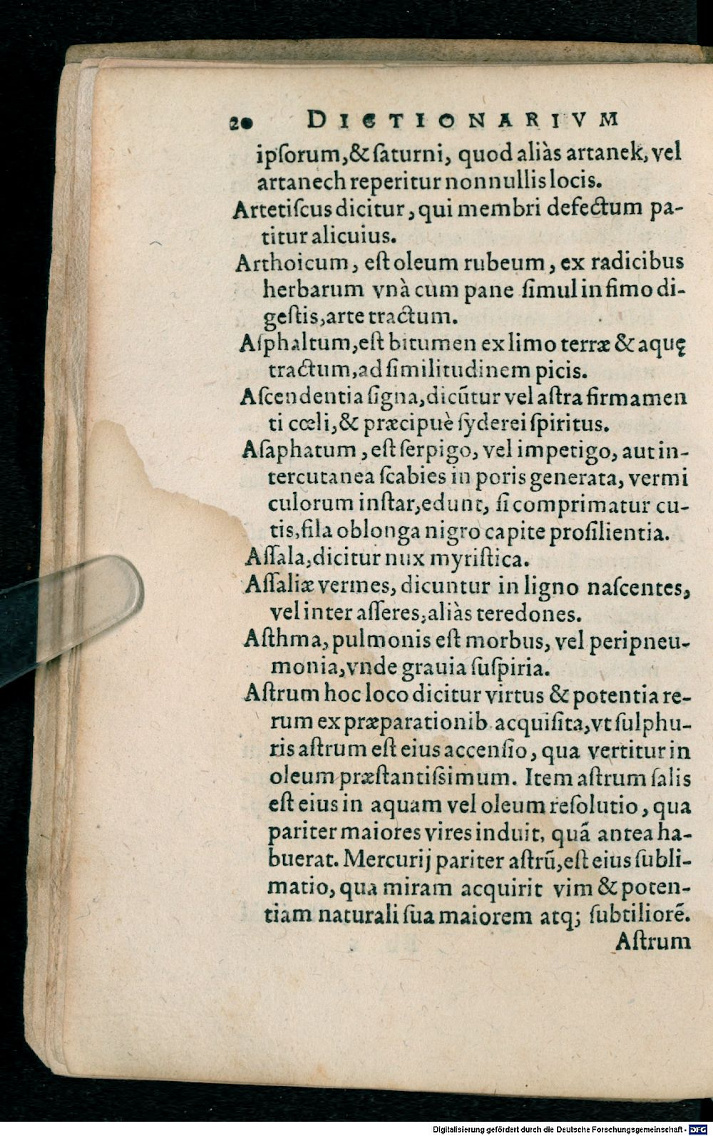 Image
