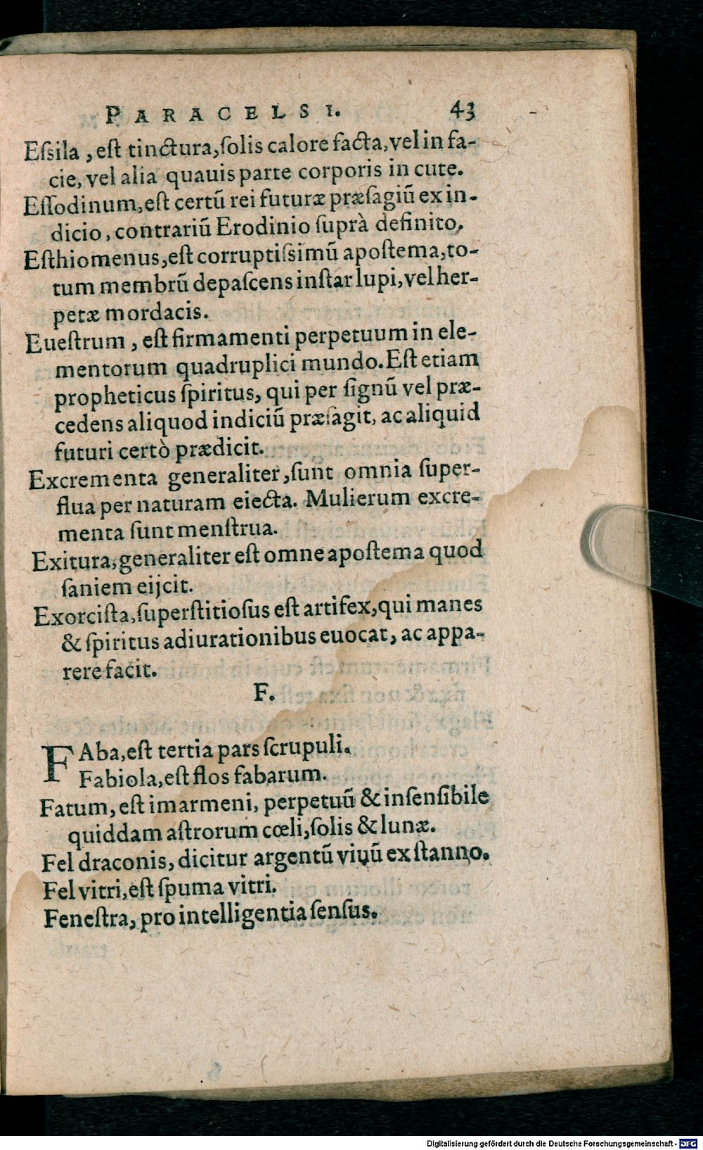 Image