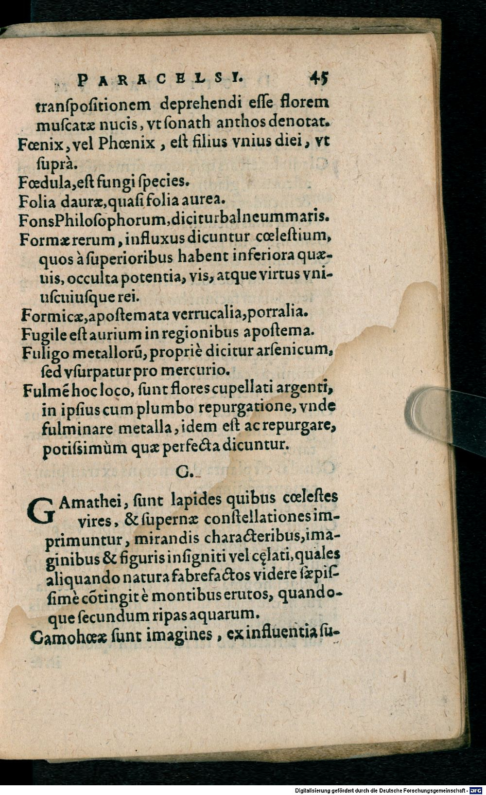 Image