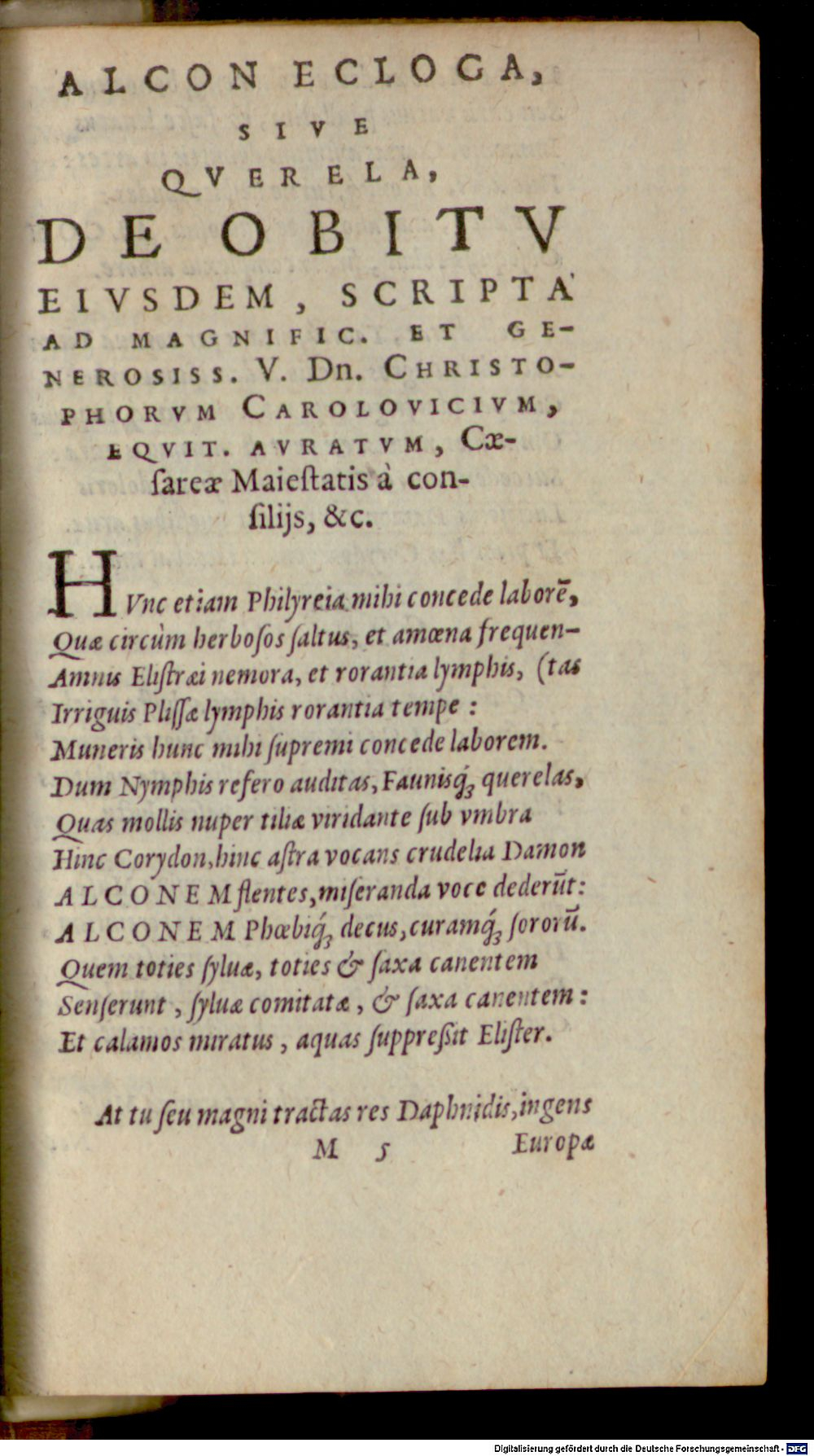 Image