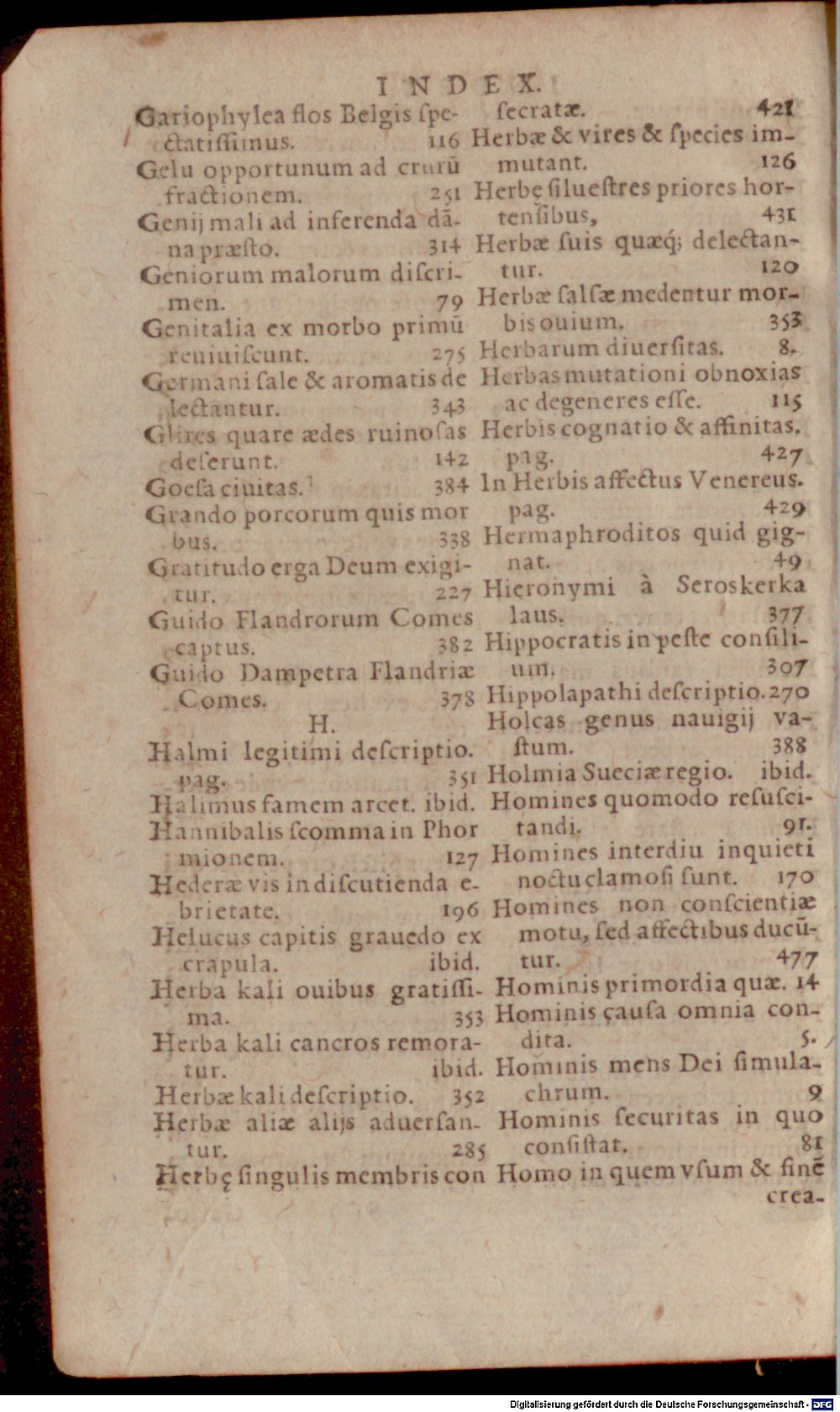 Image