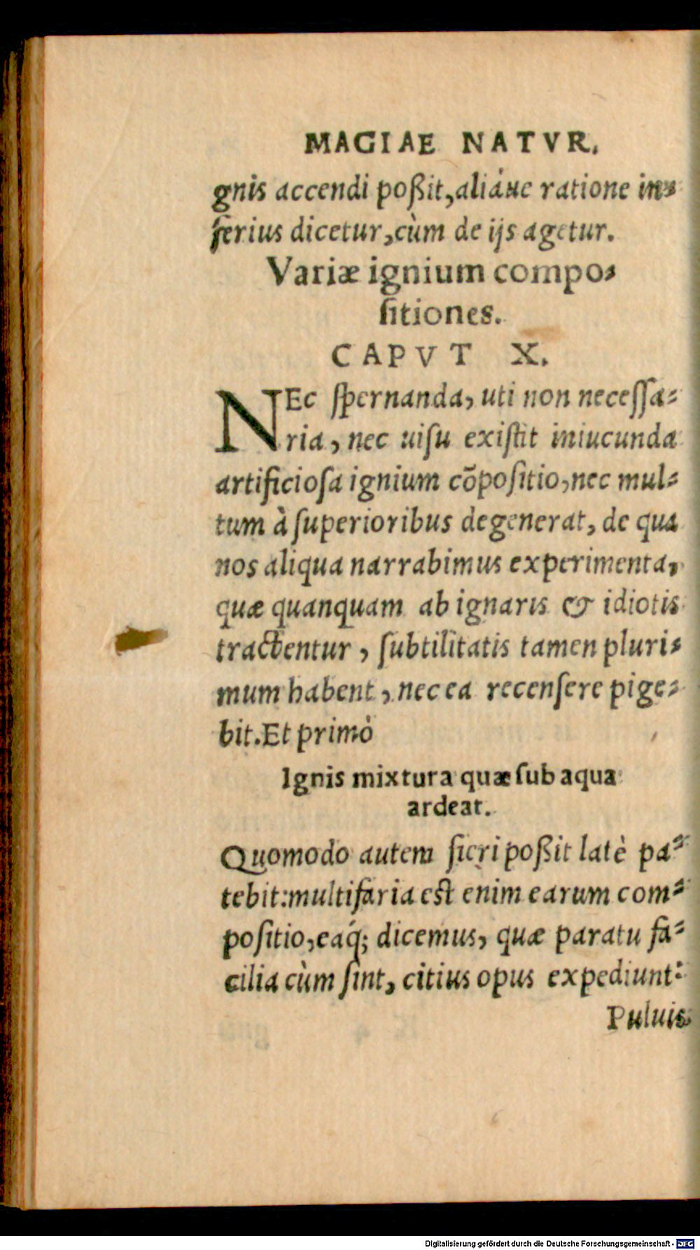 Image
