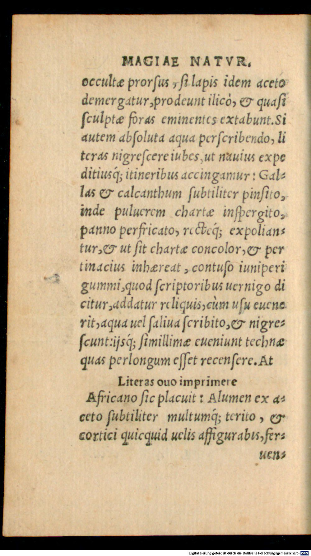 Image